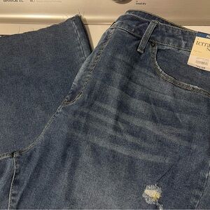 Terra & Sky Women’s Distressed Blue Relaxed Jeans